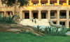 Grecotel Cape Sounio 